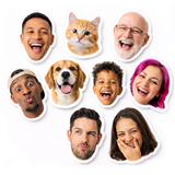 Custom Face Stickers